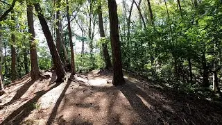 Hardlopen over Eerdse bergen