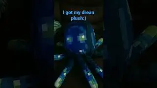 i got my dream plush