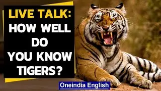 World Tiger Day: Why conservation is important| All about tigers | Oneindia News