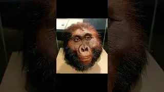 Genius Files Ep-22 | Scientist Who Found the First Humans