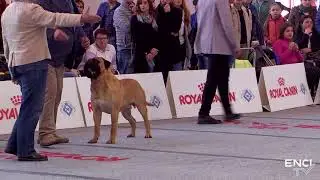MONTICHIARI2018 - SAB7: Gruppo2