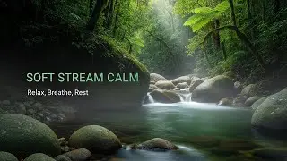 Natural Forest Ambience with Relaxing Stream Sounds for Sleep Study Meditation and Inner Peace