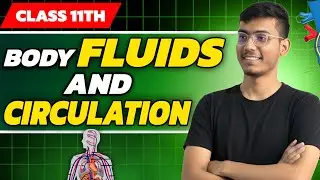 Class 11 Biology &ndash; Body Fluids and Circulation | Full Chapter Explanation | CGA 9th to 12th