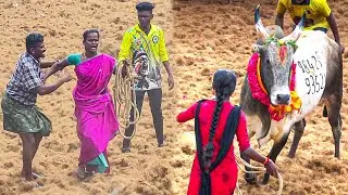 Veeratamizhachi Jallikattu 2025 | வீரதமிழச்சி காளை ஜல்லிக்கட்டு 2025