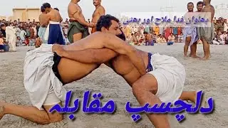 super sindhi Malh,malakhro traditional game of Sindh.