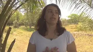 Entrevista Renata Muylaert  - Zoonose