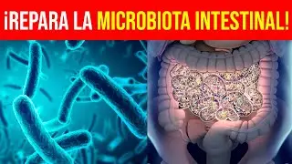 &iquest;PROBLEMAS Digestivos? Descubre el SECRETO Natural para SANAR tu Microbiota