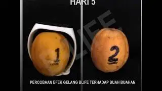 Memperlambat Proses Penuaan pada sel kulit