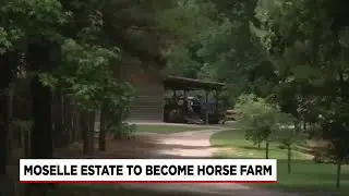 Moselle Estate to become horse farm