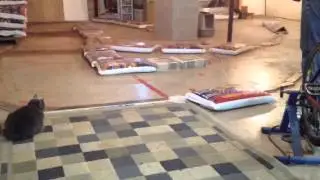 Losi micro rally car on basement track