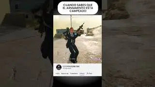 ARMAMENTO PELIGROSO WZ
