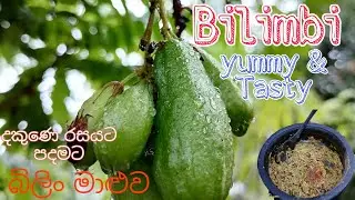 It's Bilimbi curry We cald it BILIN MALUWA .AFTER WATCHING THIS YOU WILL EAT bilimbi curry EVERYDAY.