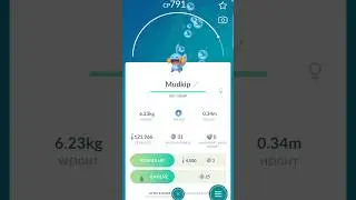 Pokemon GO | Mudkip ⏩️ Marshtomp evolution | #pokemongo #shorts | Like👍🏻 and Subscribe 🔔