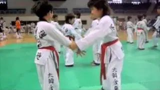 Han Moo Kwan Hapkido examination