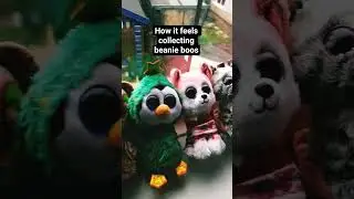 pov: how it fee