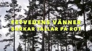 Fetvedens V&auml;nner tillverkar fetved