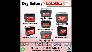 Century Motolite Heavy Duty Maintenance Free Battery Sizes