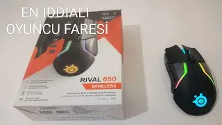 En iddialı oyuncu faresi. /Steelseries rival 650