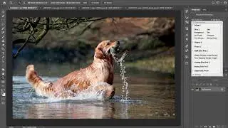Paintography