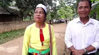 b&ugrave;i un b&ugrave;i  yến h&aacute;t mưởng ở  bải chim h&ograve;a b&igrave;nh