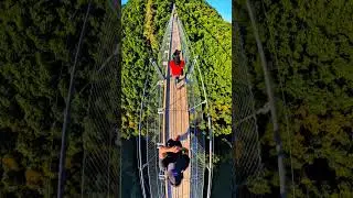 Geierlay Suspension Bridge
