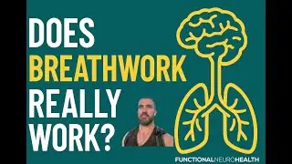 Does Breathwork Really Work? The Functional Neurology Perspective