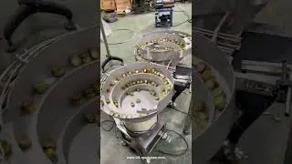 Automatic wine bottle cap double bowls sorting feeding machine with conveyor