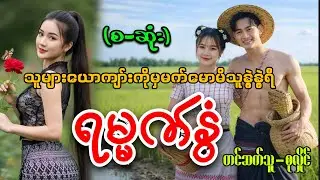 ရမ္မက်နွံ(စ-ဆုံး)#စုလှိုင်#အိမ်ထောင်ရေးပညာပေးဇာတ်လမ်း
