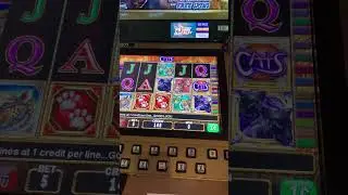 Count down to spin 1,000 on the same mighty dollar