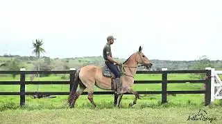Lote 12 Hagata da Bela Vista