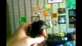 MOV00040