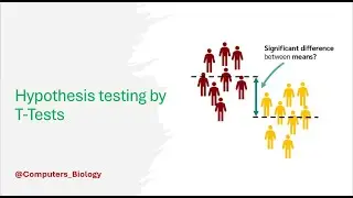 T-Tests Explained: Hypothesis Testing & One-Tailed vs. Two-Tailed Tests
