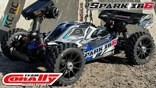 Team Corally Spark XB6 (Best RTR Buggy!)