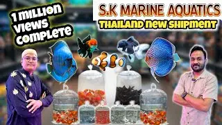 2026 Sabse Sasti Thailand Aquarium Fish 🐠 | S.K Marine Aquatics New Shipment | Kami Razzaq Vlog