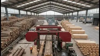 Inside a Sawmill: How Construction Lumber Is Made for Living Room Furniture (Full Process)