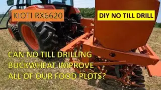 Food plot update-No till drilling buckwheat for Buffalo food plot system
