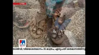 Maharashtra farmers protest - pictures