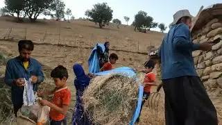 Farideh's hard work on the farm amazed everyone;but she ended up with a gift for Halimah's daughter!