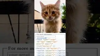 range HTML input