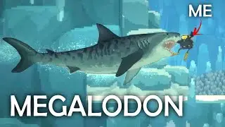I Found a MEGA SHARK in This Relaxing Fishing Game - Dave the Diver