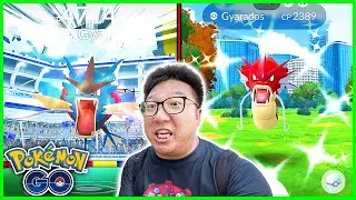 Mega Gyarados Raid Day in Hong Kong, And Everyone Caught a HUNDO in the Wild! - Pokemon GO