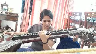 Manasa sancharare Veena My experiments with the most divine Saraswati veena....