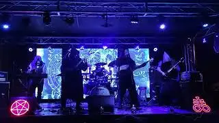 Korkvak - Corpus Mysticum - Live Session
