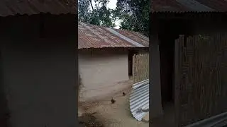 Hut