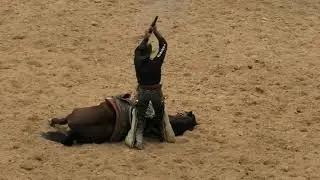 Bobby Kerr Mustang Act - 2019 WRCA World Championship Ranch Rodeo (Thursday)