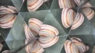 Huckleberry Kaleidoscope