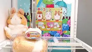 Toreba Got [Coroham Coron - Exciting Friends Big C]!!