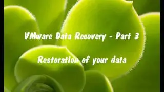 vmware data recovery part3 from ESX Virtualization