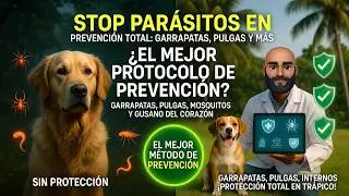 El Mejor Protocolo de Desparasitación para Perros en Zonas Tropicales 🦟🕷️🐛🚫🐶
