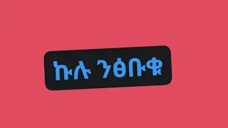 بدأت قناة 